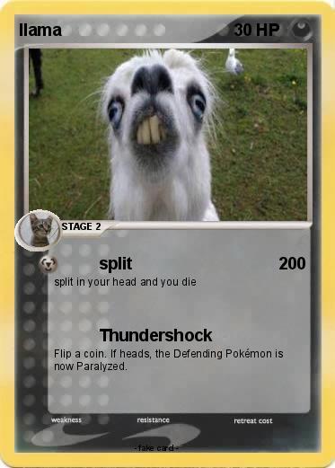Pokemon llama
