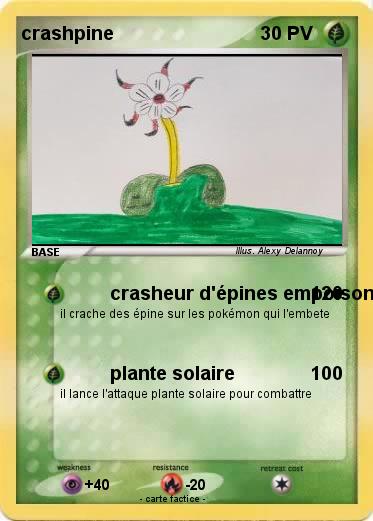 Pokemon crashpine
