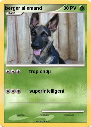 Pokemon berger allemand