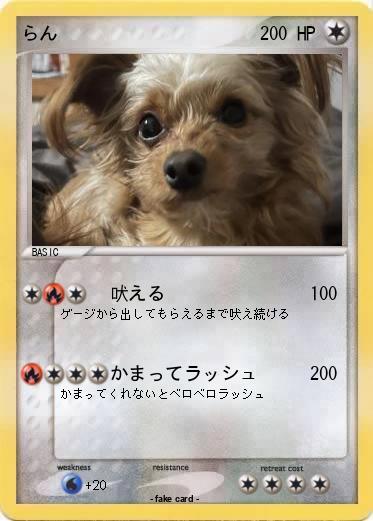 Pokemon らん