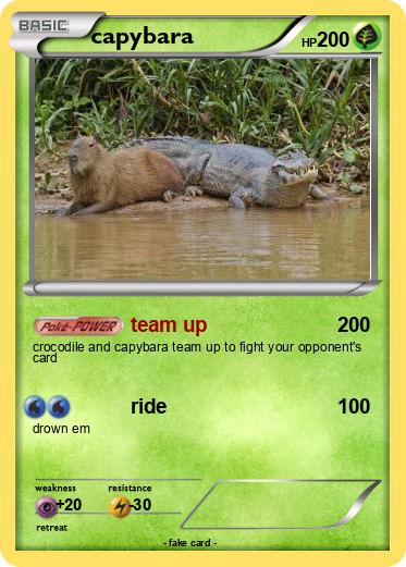 Pokemon capybara