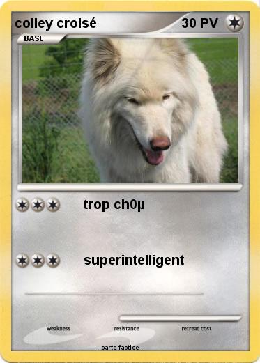 Pokemon colley croisé