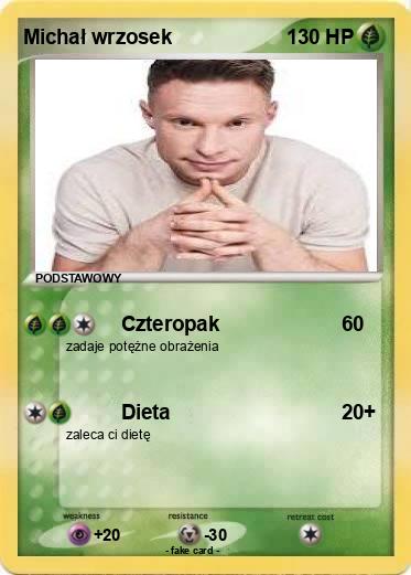 Pokemon Michał wrzosek