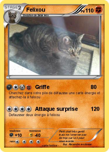 Pokemon Felixou
