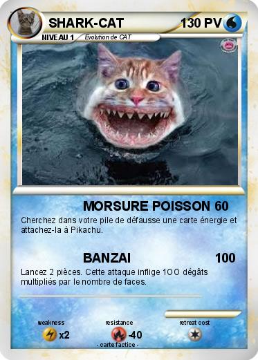 Pokemon SHARK-CAT