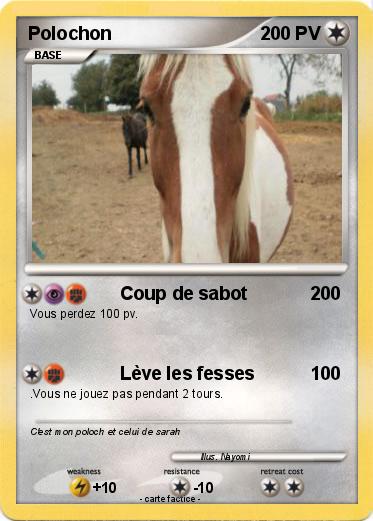 Pokemon Polochon