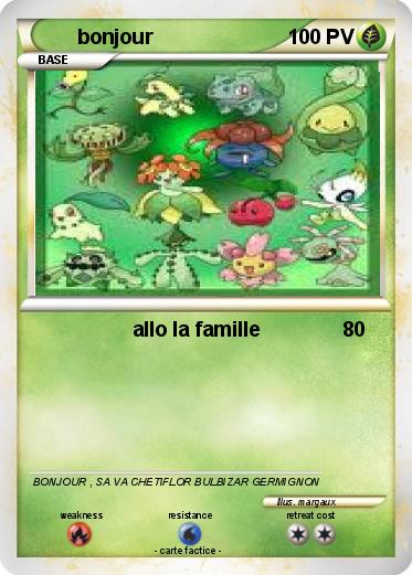 Pokemon bonjour