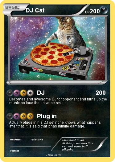 Pokemon DJ Cat