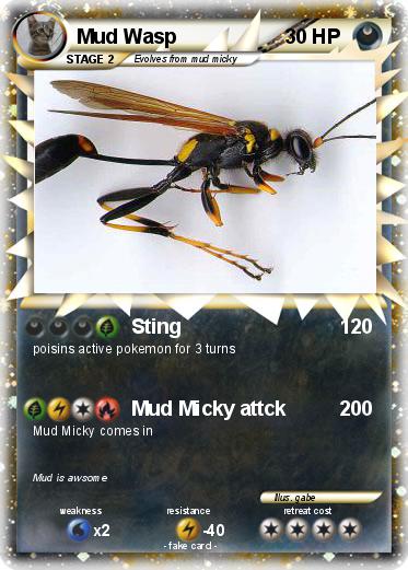 Pokemon Mud Wasp