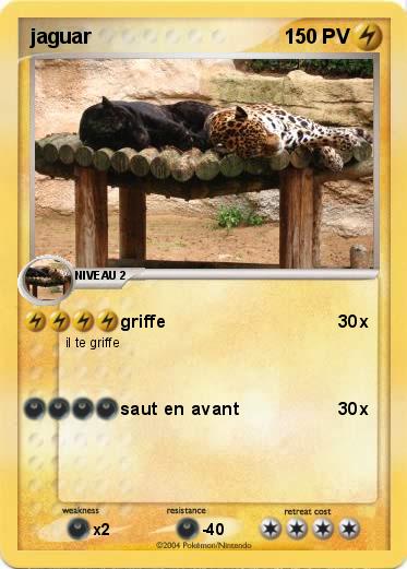 Pokemon jaguar
