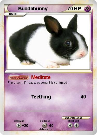 Pokemon Buddabunny