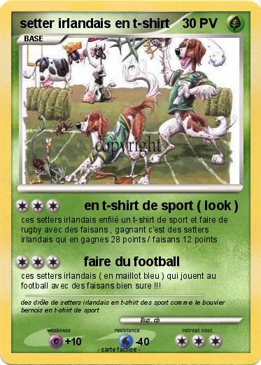 Pokemon setter irlandais en t-shirt
