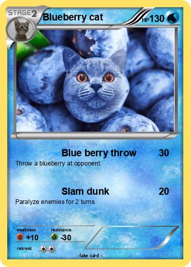 Pokemon Blueberry cat
