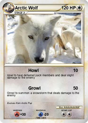 Pokemon Arctic Wolf