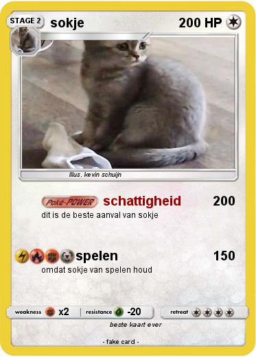 Pokemon sokje