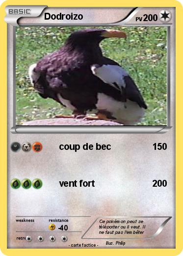 Pokemon Dodroizo