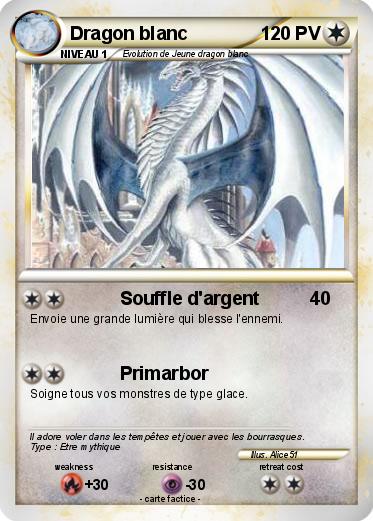 Pokemon Dragon blanc