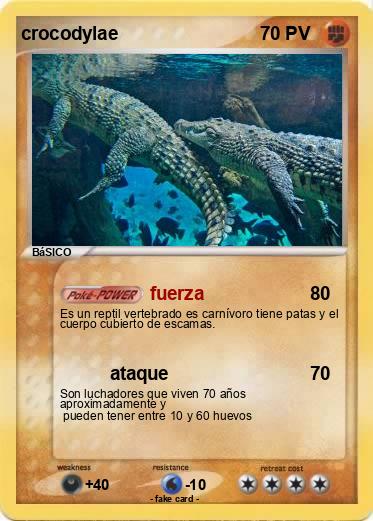 Pokemon crocodylae