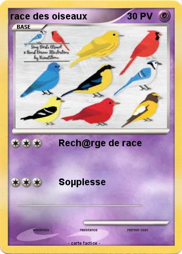 Pokemon race des oiseaux