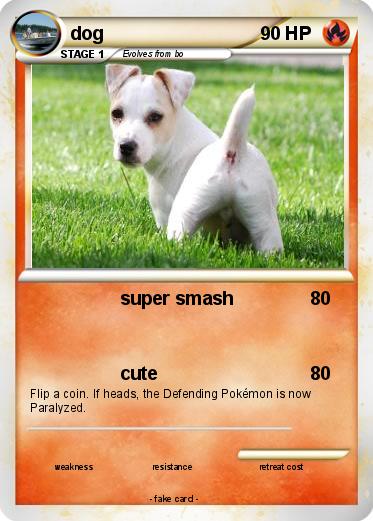Pokemon dog