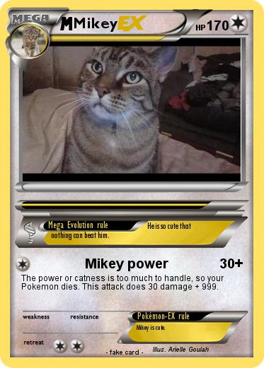 Pokemon Mikey
