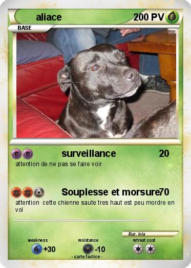 Pokemon aliace