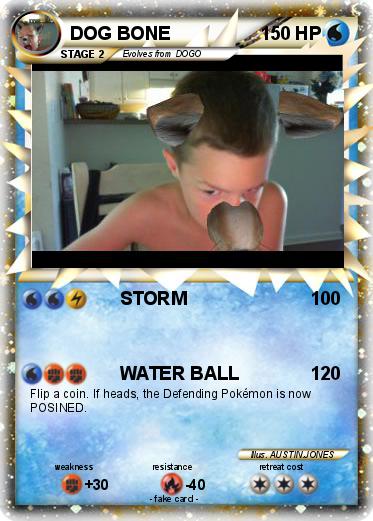 Pokemon DOG BONE