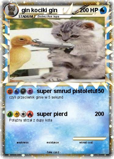 Pokemon gin kociki gin