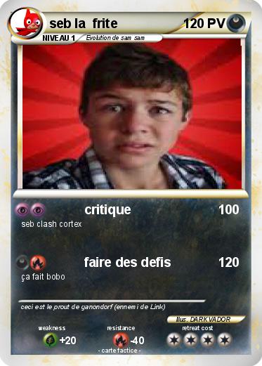 Pokemon seb la  frite