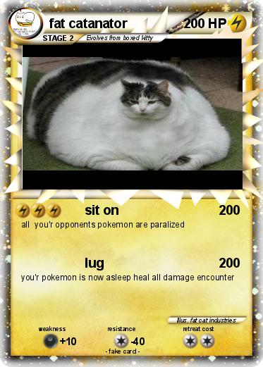 Pokemon fat catanator