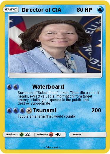 Pokemon Director of CIA