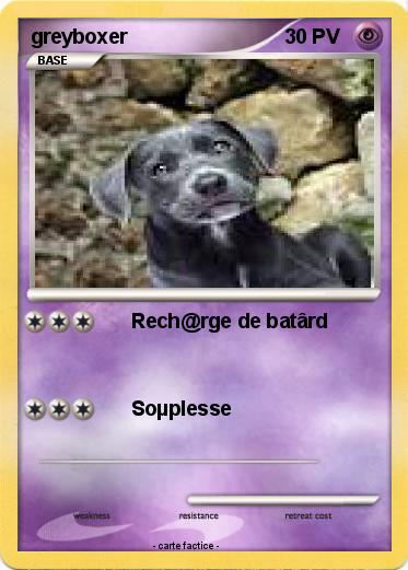 Pokemon greyboxer