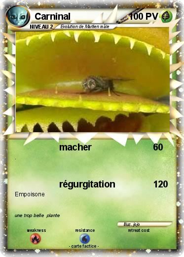 Pokemon Carninal
