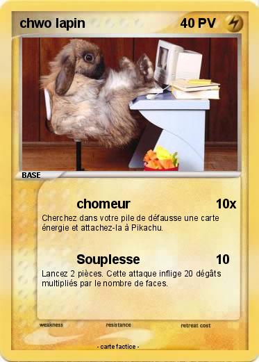 Pokemon chwo lapin