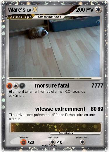 Pokemon Ware's