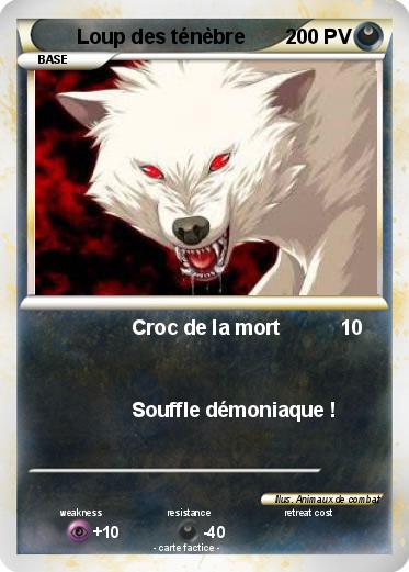 Pokemon Loup des ténèbre