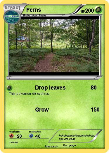 Pokemon Ferns