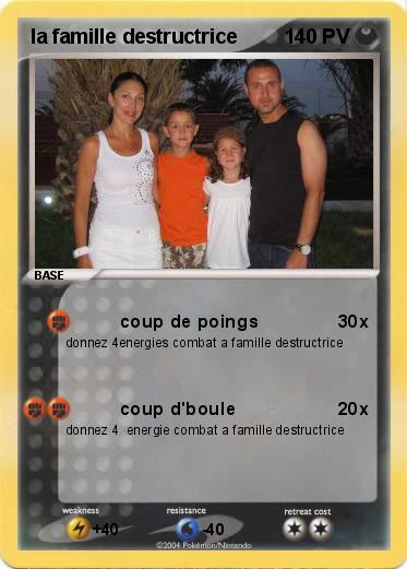Pokemon la famille destructrice
