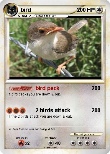Pokemon bird