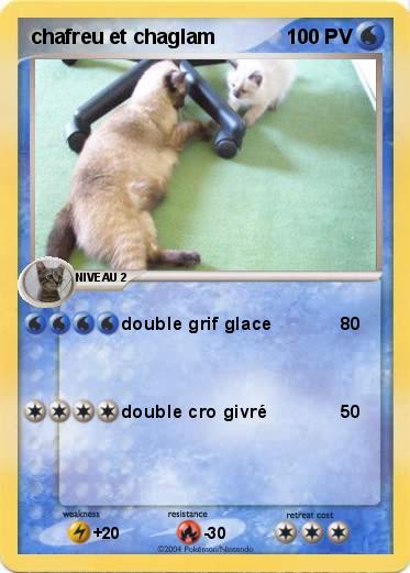 Pokemon chafreu et chaglam