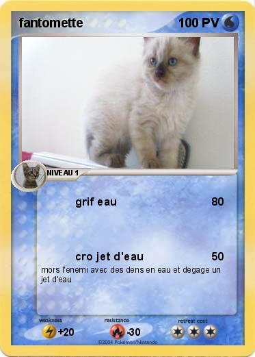 Pokemon fantomette