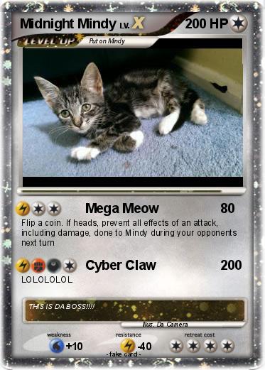 Pokemon Midnight Mindy