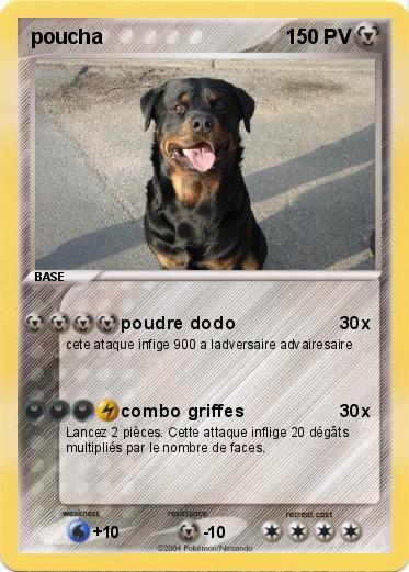 Pokemon poucha