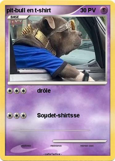 Pokemon pit-bull en t-shirt