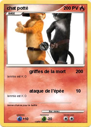 Pokemon chat potté
