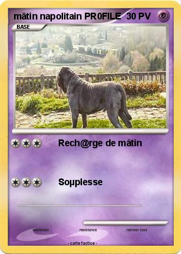 Pokemon mâtin napolitain PR0FILE