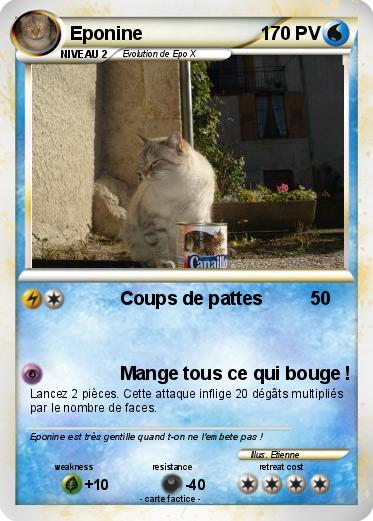Pokemon Eponine