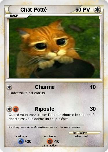 Pokemon Chat Potté