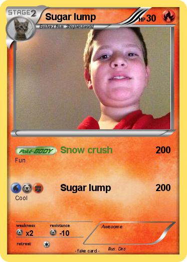 Pokemon Sugar lump