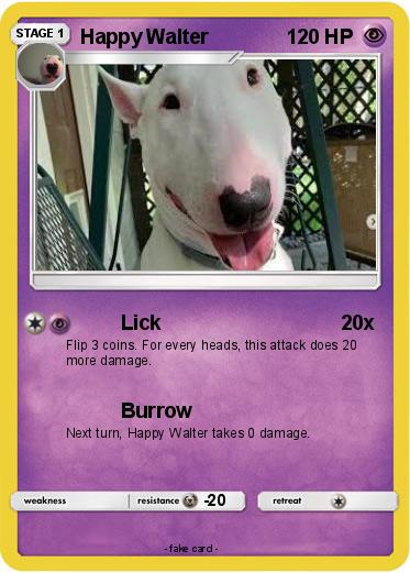 Pokemon Happy Walter